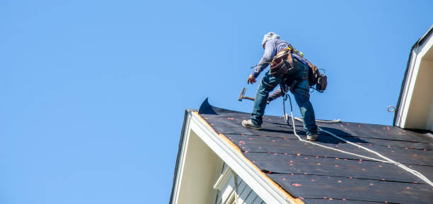 Best Roof Gutter Cleaning  in Jacksonville, NC